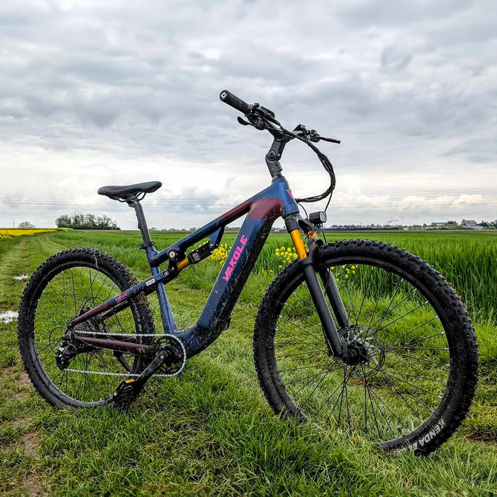 Vakole EMT29 250W 29" Bicicleta de Montaña Eléctrica 720Wh E-MTB Cross Country con Sensor de Torsión 48V 15Ah Batería