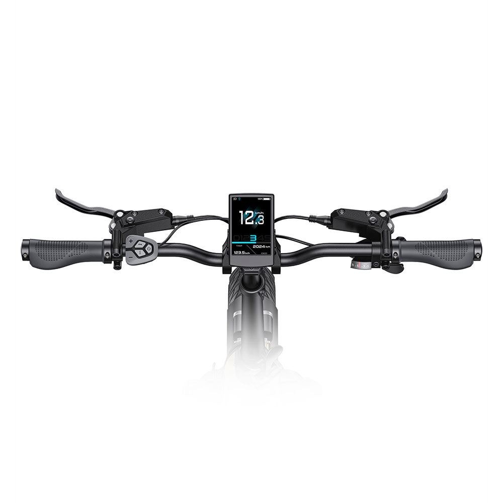 Engwe L20 3.0 PRO Motor de tracción media de 250W Bicicleta eléctrica plegable de 20" 720Wh E-bike de paso a través Soporte para aplicaciones
