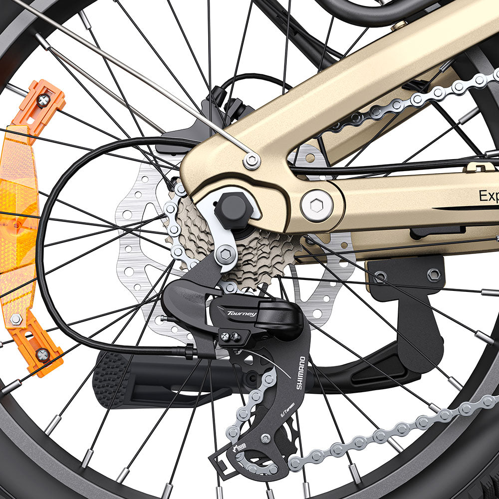 Engwe L20 3.0 PRO Motor de tracción media de 250W Bicicleta eléctrica plegable de 20" 720Wh E-bike de paso a través Soporte para aplicaciones