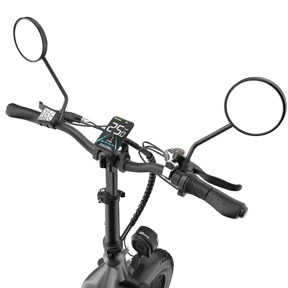 Fafrees FF20 Polar 20" Bicicleta Eléctrica Fat Bike con Doble Batería Certificada L1e-B Bicicleta Eléctrica de Paso Bajo