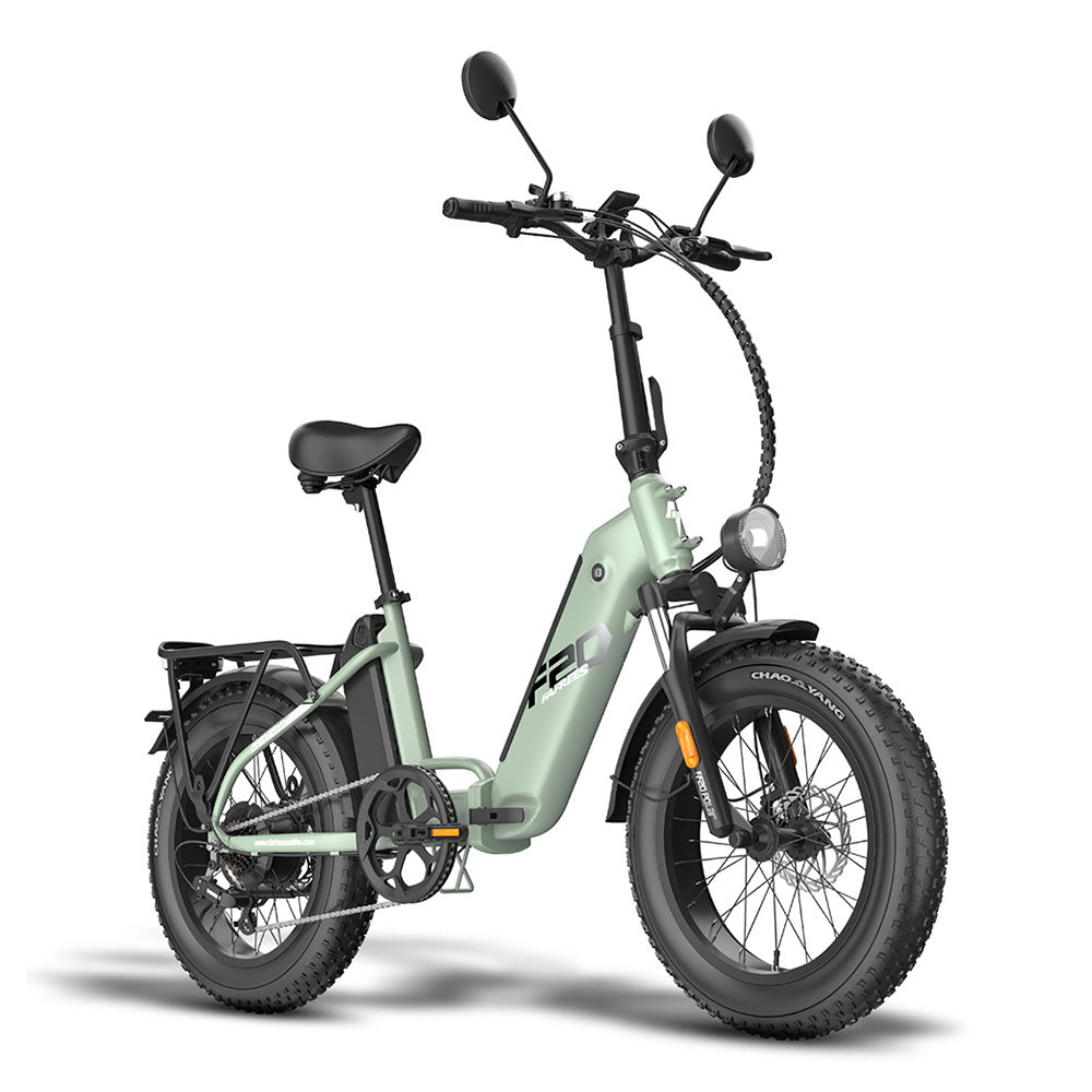Fafrees FF20 Polar 20" Bicicleta Eléctrica Fat Bike con Doble Batería Certificada L1e-B Bicicleta Eléctrica de Paso Bajo