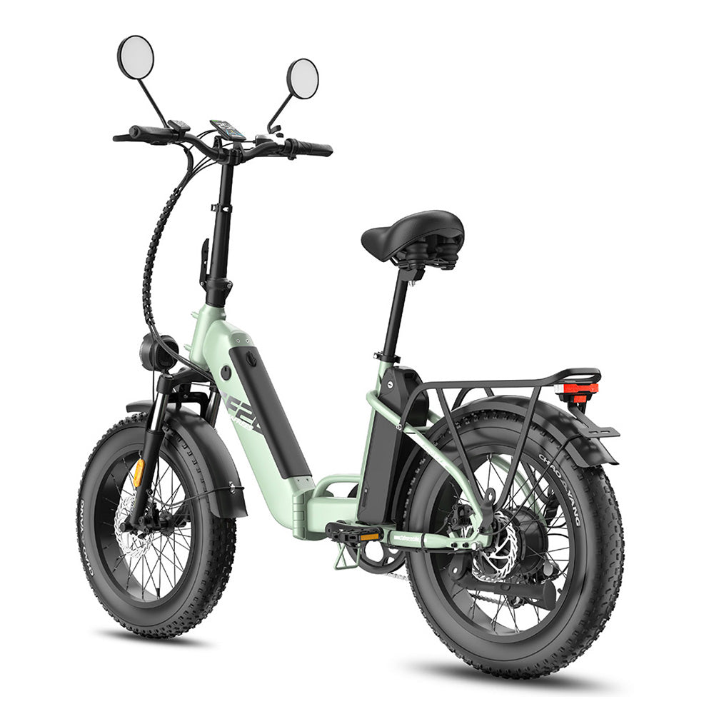 Fafrees FF20 Polar 20" Bicicleta Eléctrica Fat Bike con Doble Batería Certificada L1e-B Bicicleta Eléctrica de Paso Bajo