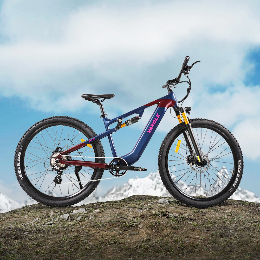 Vakole EMT29 250W 29" Bicicleta de Montaña Eléctrica 720Wh E-MTB Cross Country con Sensor de Torsión 48V 15Ah Batería