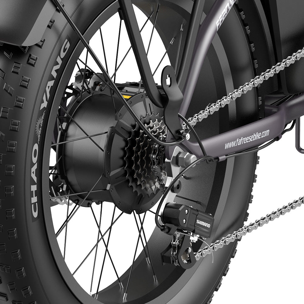 Fafrees FF20 Polar 20" Bicicleta Eléctrica Fat Bike con Doble Batería Certificada L1e-B Bicicleta Eléctrica de Paso Bajo
