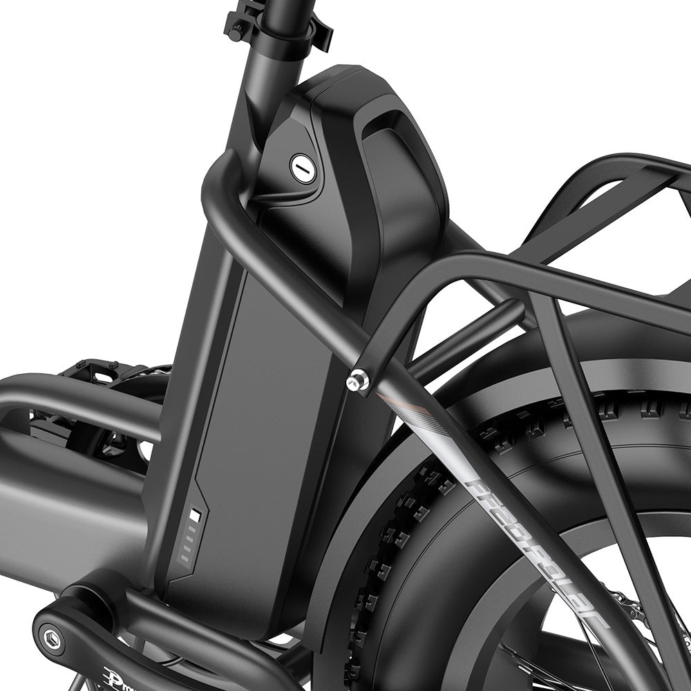 Fafrees FF20 Polar 20" Bicicleta Eléctrica Fat Bike con Doble Batería Certificada L1e-B Bicicleta Eléctrica de Paso Bajo