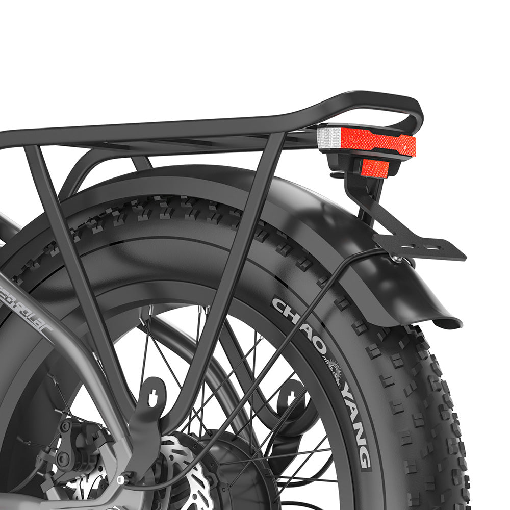 Fafrees FF20 Polar 20" Bicicleta Eléctrica Fat Bike con Doble Batería Certificada L1e-B Bicicleta Eléctrica de Paso Bajo