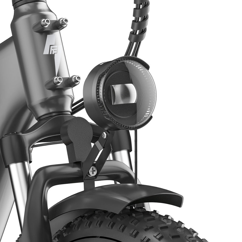 Fafrees FF20 Polar 20" Bicicleta Eléctrica Fat Bike con Doble Batería Certificada L1e-B Bicicleta Eléctrica de Paso Bajo