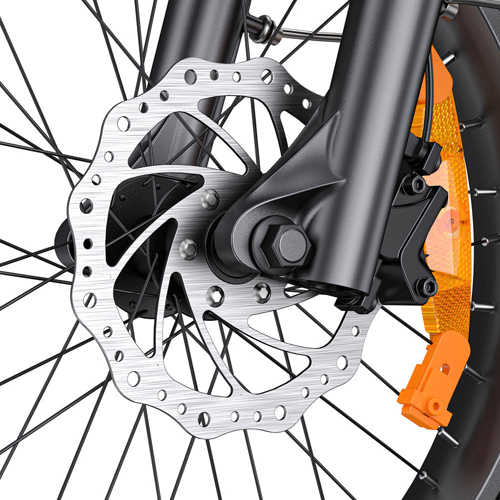 Engwe L20 3.0 PRO Motor de tracción media de 250W Bicicleta eléctrica plegable de 20" 720Wh E-bike de paso a través Soporte para aplicaciones
