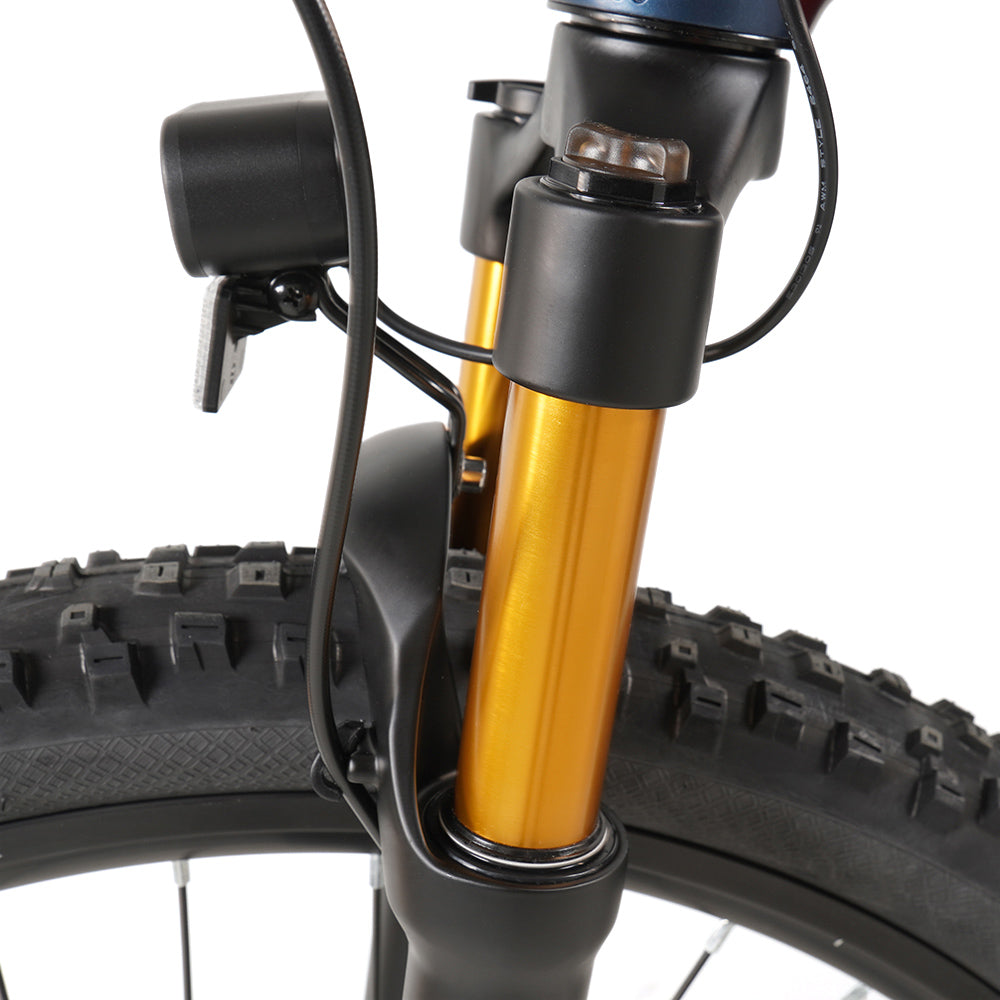 Vakole EMT29 250W 29" Bicicleta de Montaña Eléctrica 720Wh E-MTB Cross Country con Sensor de Torsión 48V 15Ah Batería