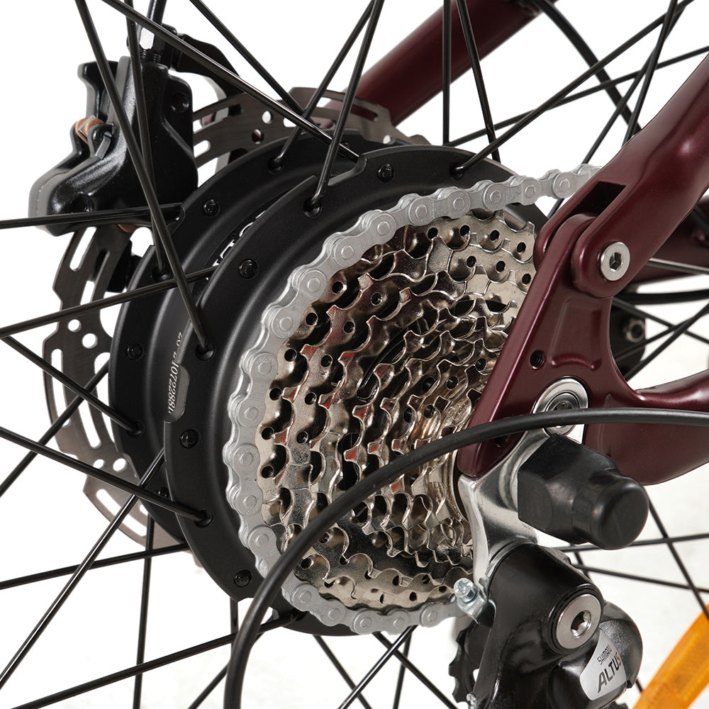Vakole EMT29 250W 29" Bicicleta de Montaña Eléctrica 720Wh E-MTB Cross Country con Sensor de Torsión 48V 15Ah Batería