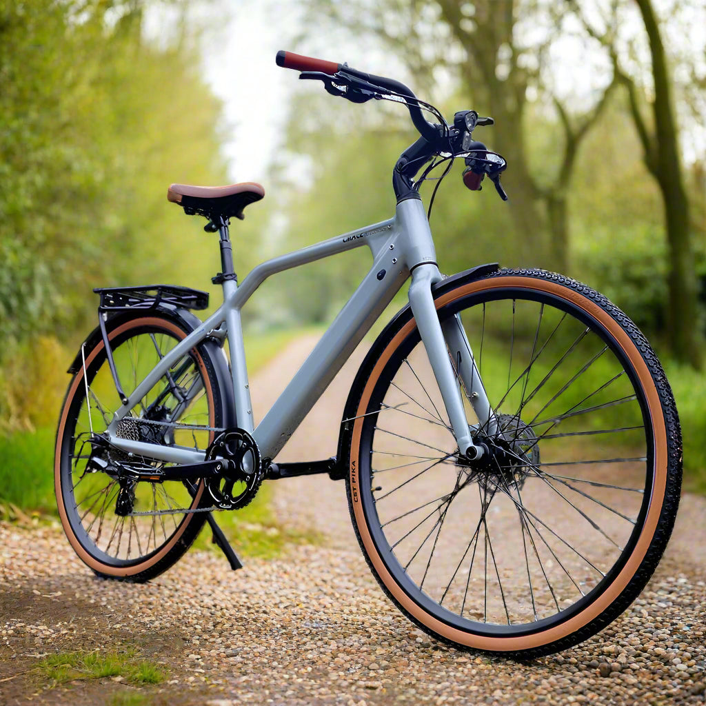 CMACEWHEEL F700 250W 700*38C Bicicleta de Grava E-Bike 360Wh Ligera Ciudad E-Bike 36V 10Ah Batería