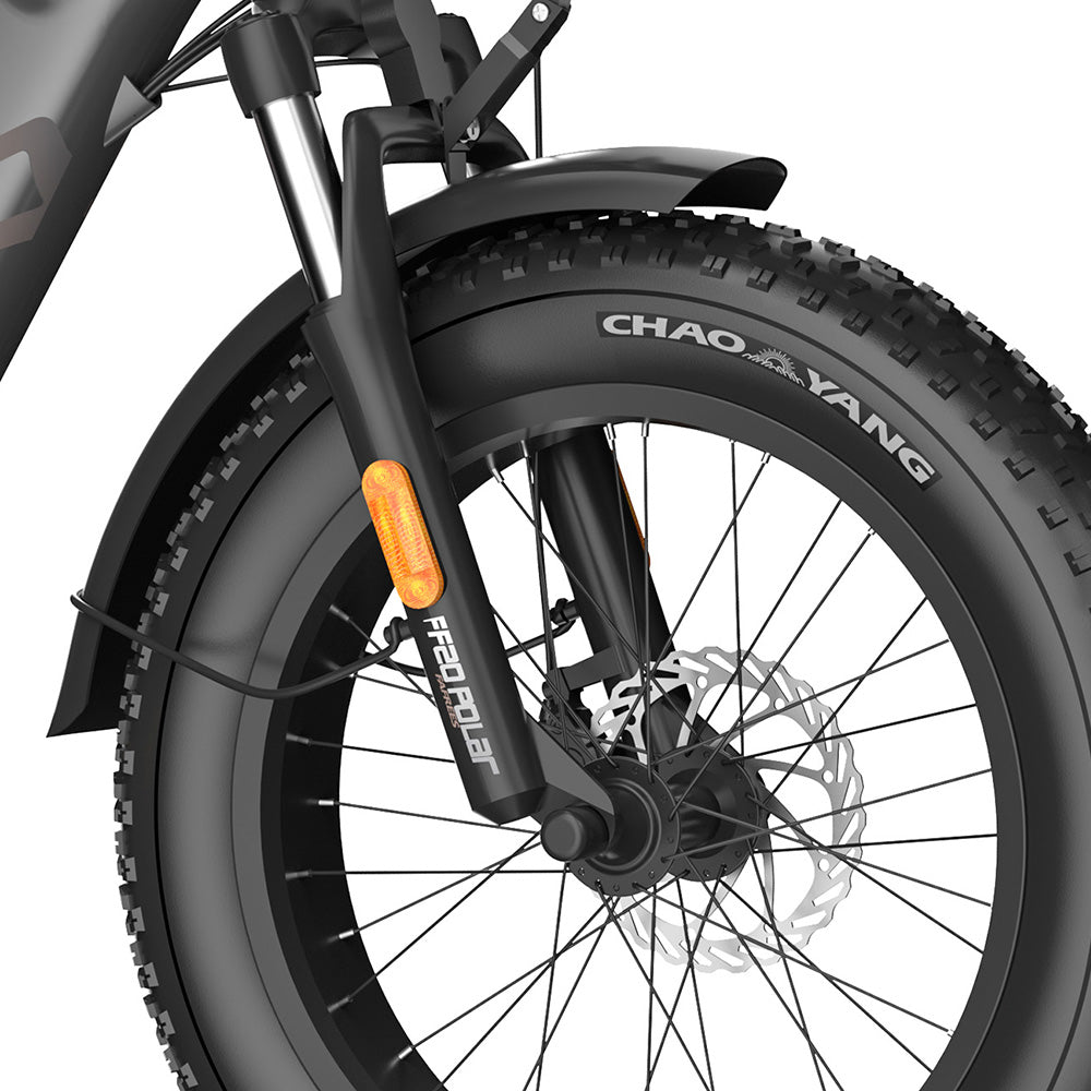 Fafrees FF20 Polar 20" Bicicleta Eléctrica Fat Bike con Doble Batería Certificada L1e-B Bicicleta Eléctrica de Paso Bajo