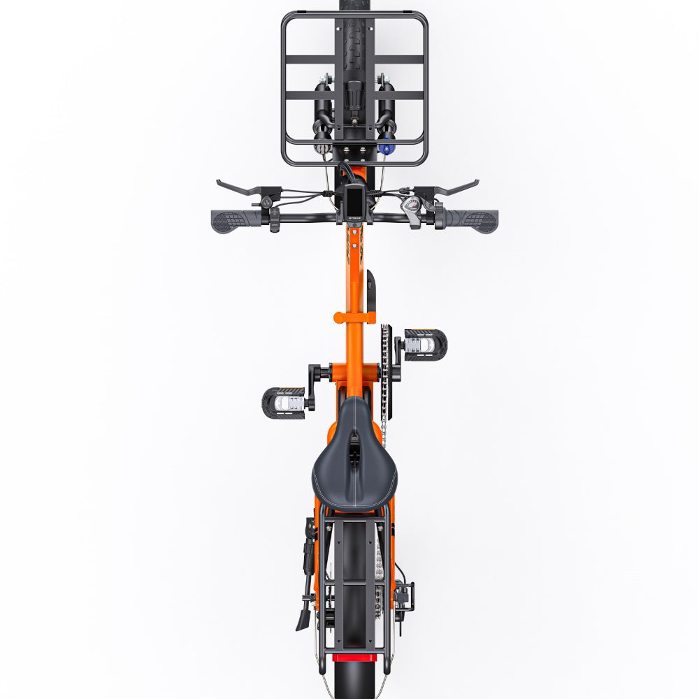Engwe L20 SE 250W 20" Bicicleta Eléctrica Plegable con 36V 15.6Ah Batería Mini Fat Bike