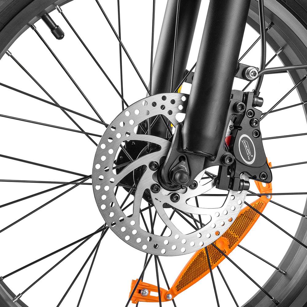 Fafrees F20 X-Max 750W 20" Fat Bike Bicicleta Eléctrica Plegable con Batería Samsung de 30Ah