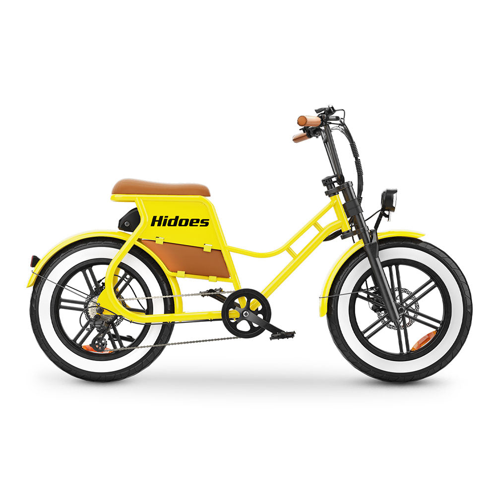 Hidoes C8 750W 20" Fat Bike 816Wh Bicicleta Eléctrica Batería 48V 17AH