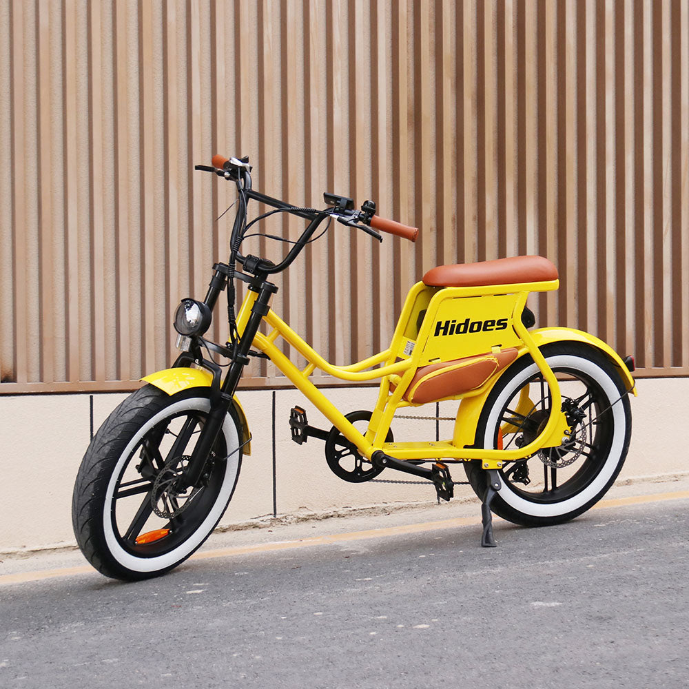 Hidoes C8 750W 20" Fat Bike 816Wh Bicicleta Eléctrica Batería 48V 17AH