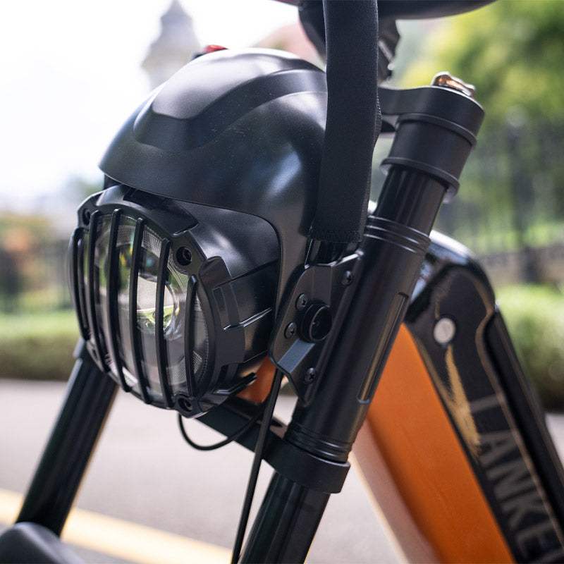 Lankeleisi RX800 Plus Versión 2025 1000W Bicicleta Gorda de 20" 960Wh Bicicleta Eléctrica de Suspensión Completa con Sensor de Torsión Batería 48V 20Ah SUV E-Bike