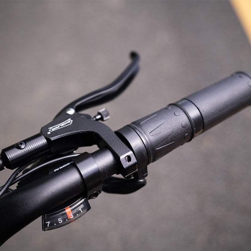 Lankeleisi RX800 Plus Versión 2025 1000W Bicicleta Gorda de 20" 960Wh Bicicleta Eléctrica de Suspensión Completa con Sensor de Torsión Batería 48V 20Ah SUV E-Bike