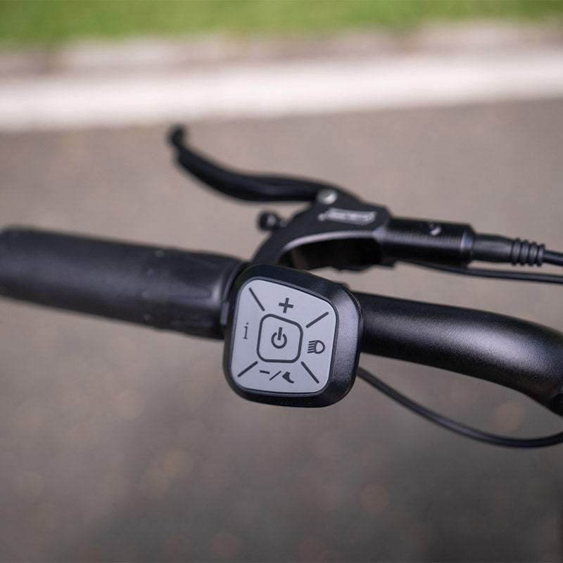 Lankeleisi RX800 Plus Versión 2025 1000W Bicicleta Gorda de 20" 960Wh Bicicleta Eléctrica de Suspensión Completa con Sensor de Torsión Batería 48V 20Ah SUV E-Bike