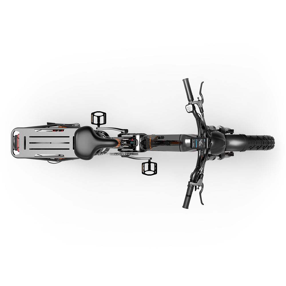 Lankeleisi RX800 Plus Versión 2025 1000W Bicicleta Gorda de 20" 960Wh Bicicleta Eléctrica de Suspensión Completa con Sensor de Torsión Batería 48V 20Ah SUV E-Bike