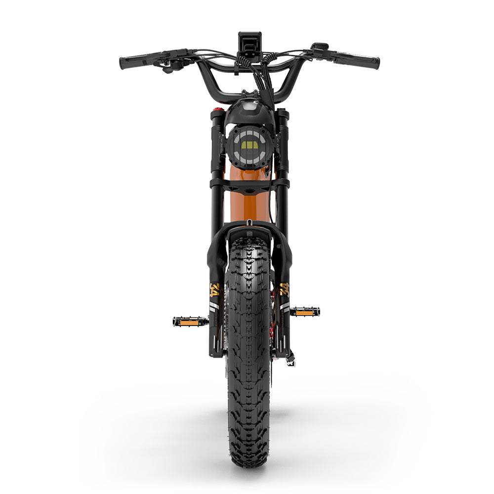 Lankeleisi RX800 Plus Versión 2025 1000W Bicicleta Gorda de 20" 960Wh Bicicleta Eléctrica de Suspensión Completa con Sensor de Torsión Batería 48V 20Ah SUV E-Bike