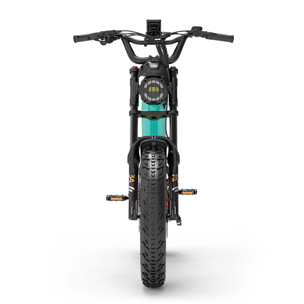 Lankeleisi RX800 Plus Versión 2025 1000W Bicicleta Gorda de 20" 960Wh Bicicleta Eléctrica de Suspensión Completa con Sensor de Torsión Batería 48V 20Ah SUV E-Bike
