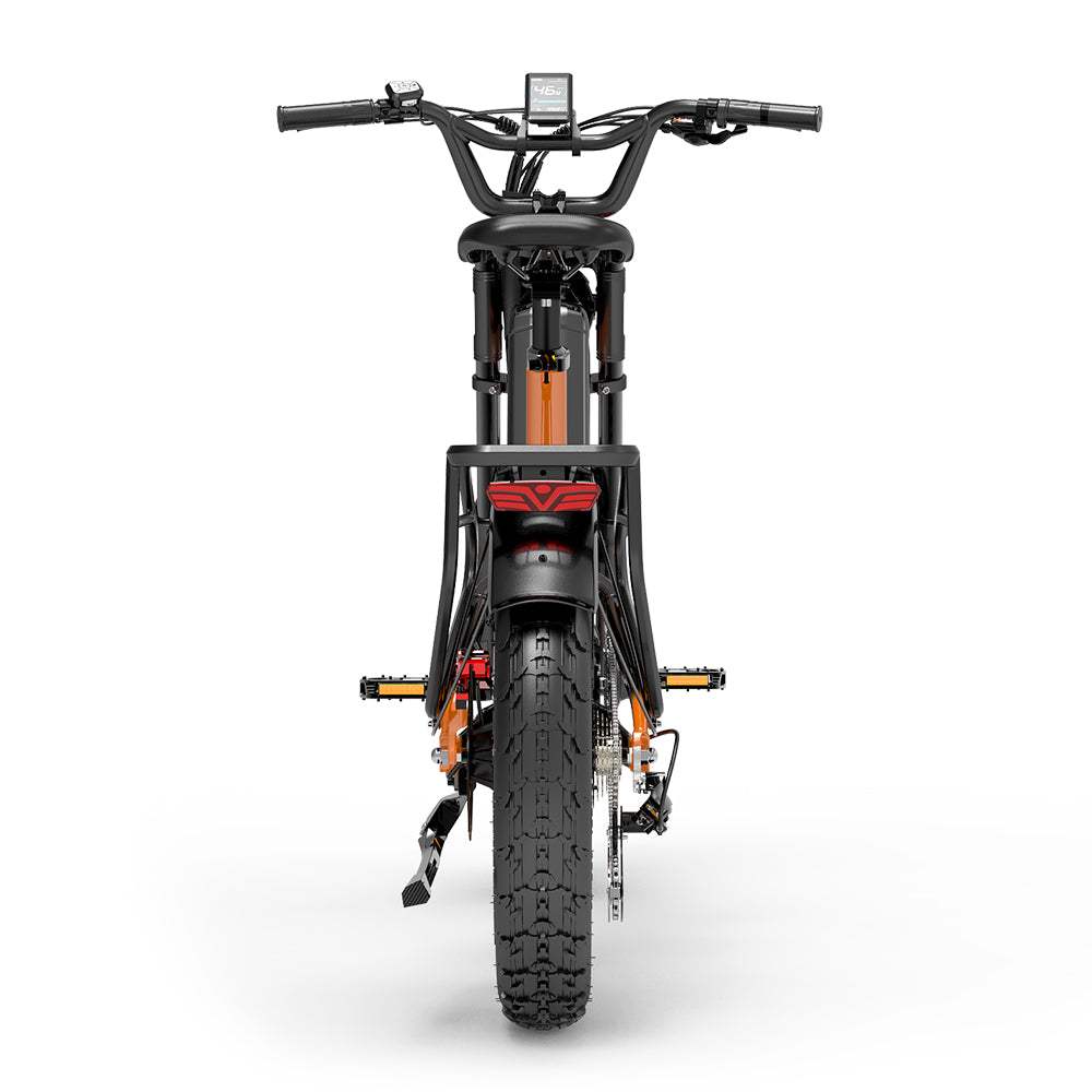 Lankeleisi RX800 Plus Versión 2025 1000W Bicicleta Gorda de 20" 960Wh Bicicleta Eléctrica de Suspensión Completa con Sensor de Torsión Batería 48V 20Ah SUV E-Bike