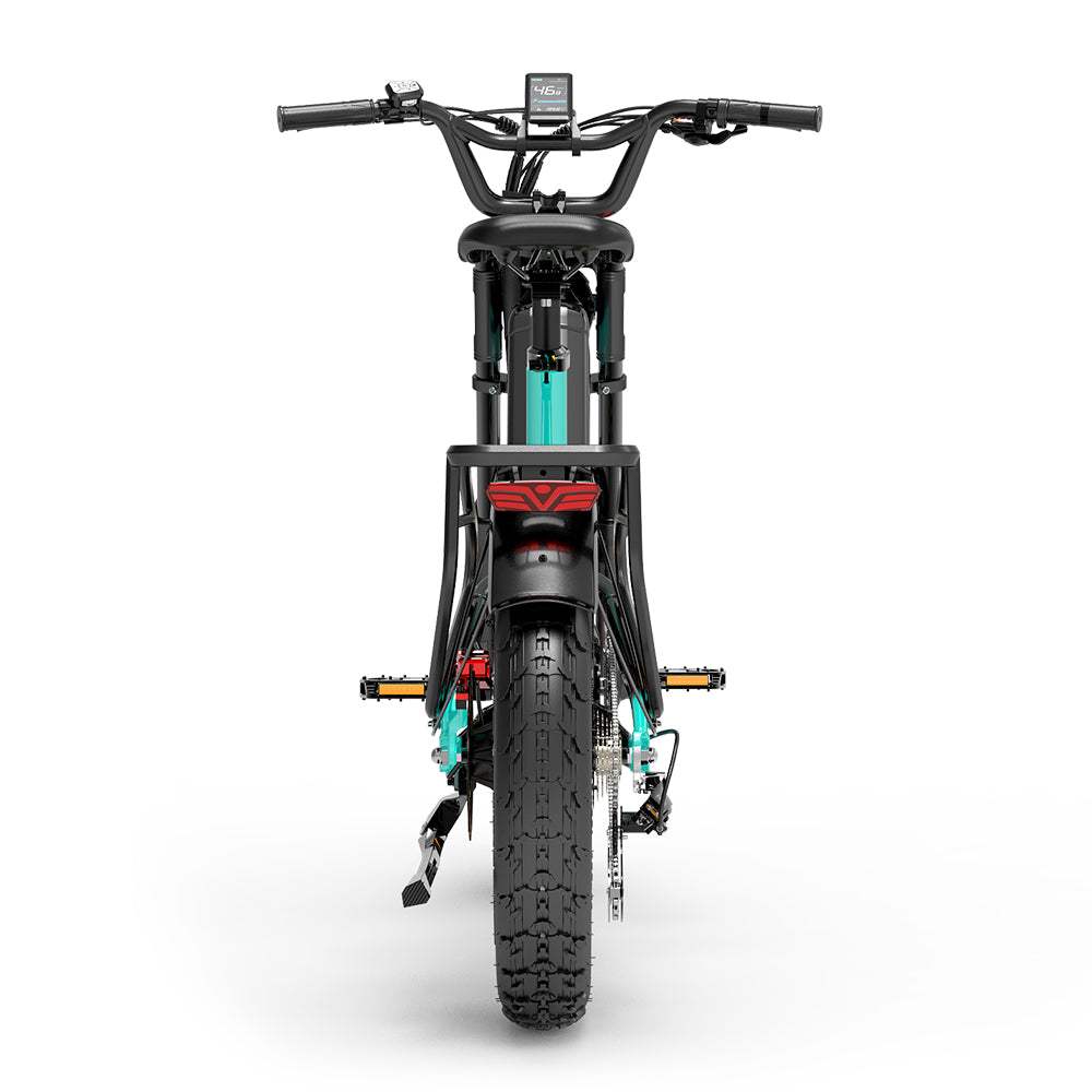 Lankeleisi RX800 Plus Versión 2025 1000W Bicicleta Gorda de 20" 960Wh Bicicleta Eléctrica de Suspensión Completa con Sensor de Torsión Batería 48V 20Ah SUV E-Bike