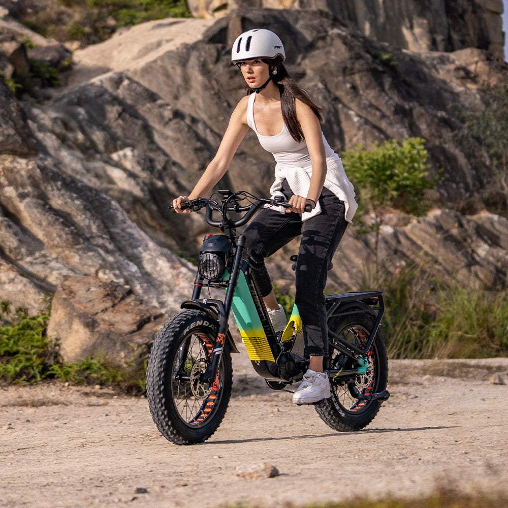 Lankeleisi RX800 Plus Versión 2025 1000W Bicicleta Gorda de 20" 960Wh Bicicleta Eléctrica de Suspensión Completa con Sensor de Torsión Batería 48V 20Ah SUV E-Bike