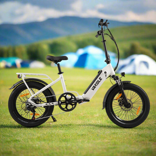 Vakole VT4 250W 20" Bicicleta Eléctrica Compacta Plegable 468Wh Step-through E-bike