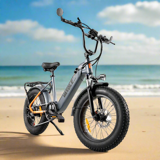 Vakole SG20 250W 20" Fat Bike 691Wh Bicicleta Eléctrica 48V 14.4Ah Batería
