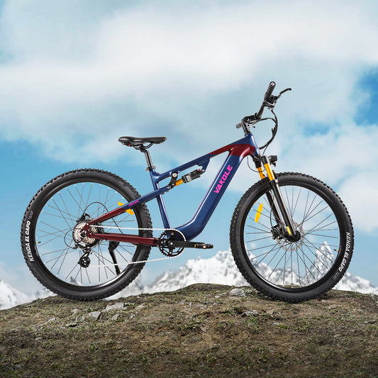 Vakole EMT29 250W 29" Bicicleta de Montaña Eléctrica 720Wh E-MTB Cross Country con Sensor de Torsión 48V 15Ah Batería